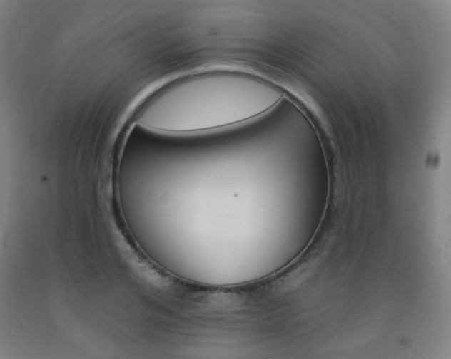 X0000093130984200709261032