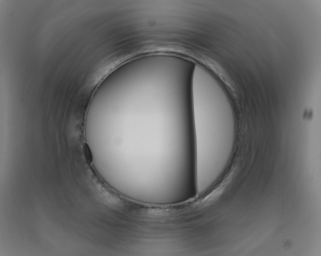 X0000093130985200709261032