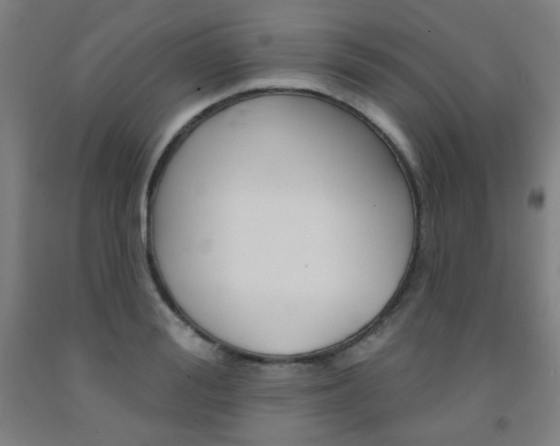 X0000093130988200709261032