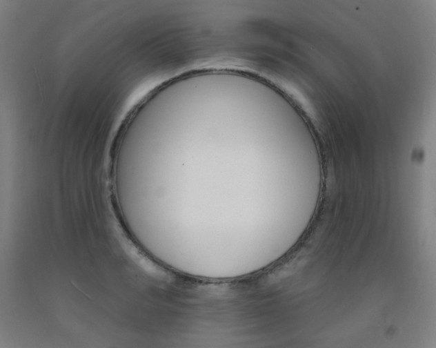 X0000093130990200709261032