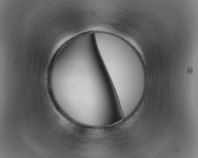 X0000093130991200709261032