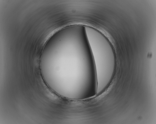 X0000093130993200709261032
