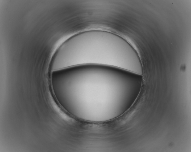 X0000093130995200709261031