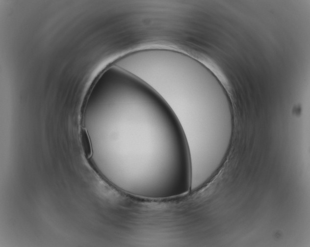 X0000093130996200709261031