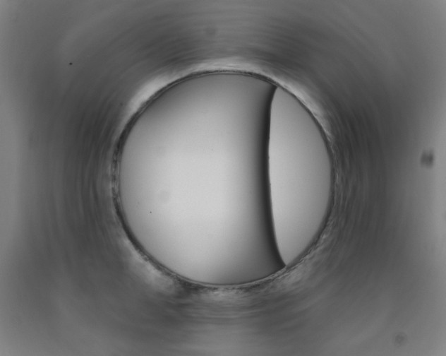 X0000093130998200709261031