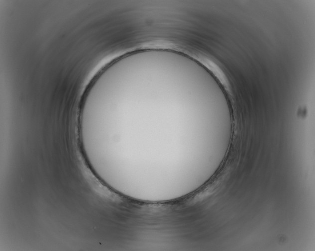 X0000093131000200709261031