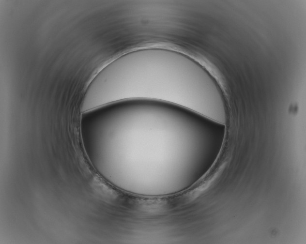 X0000093131001200709261031