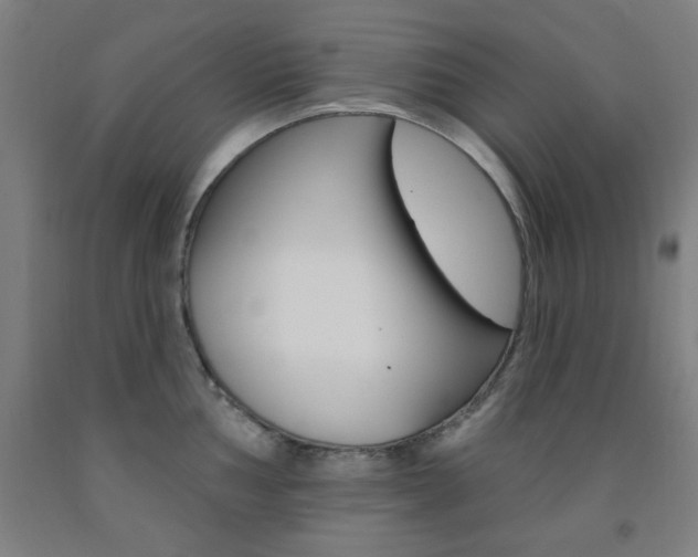 X0000093131002200709261031