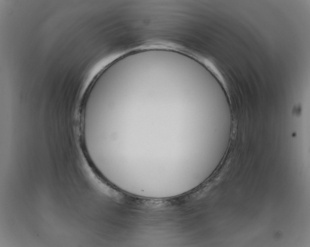 X0000093131003200709261031