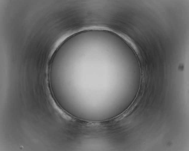 X0000093131006200709261031