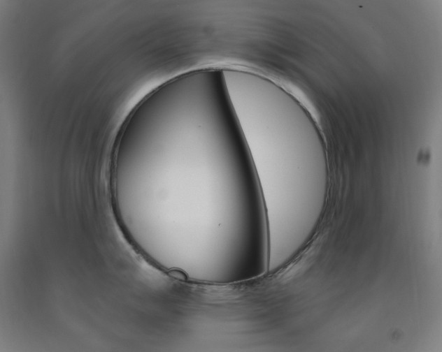 X0000093131007200709261031