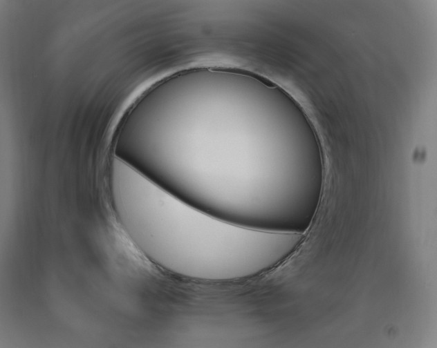X0000093131008200709261031
