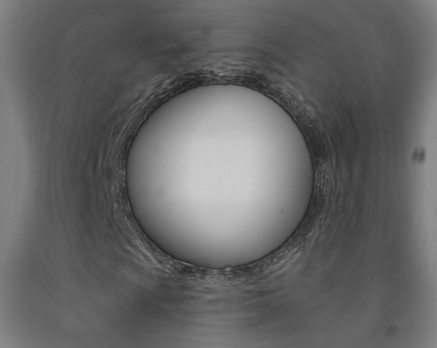 X0000093131009200709261031