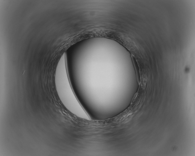 X0000093131010200709261031