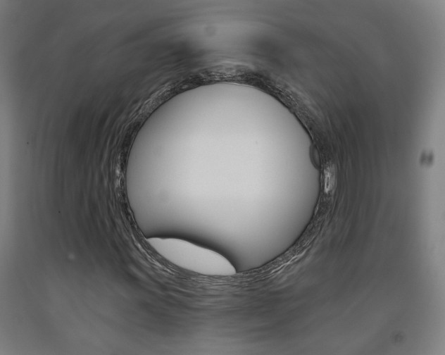 X0000093131011200709261031