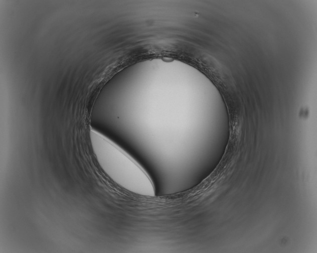 X0000093131012200709261031