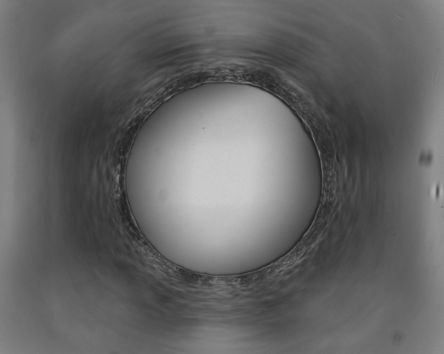 X0000093131013200709261031
