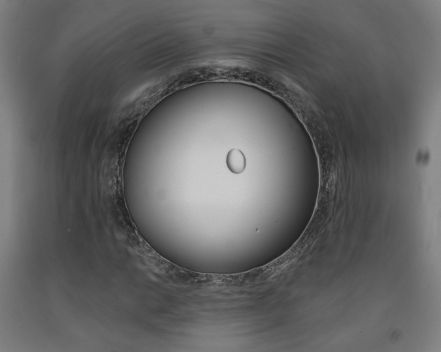 X0000093131014200709261031