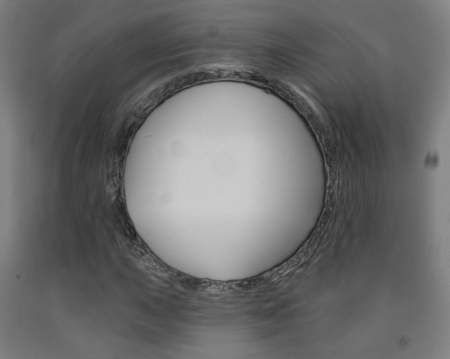 X0000093131015200709261031