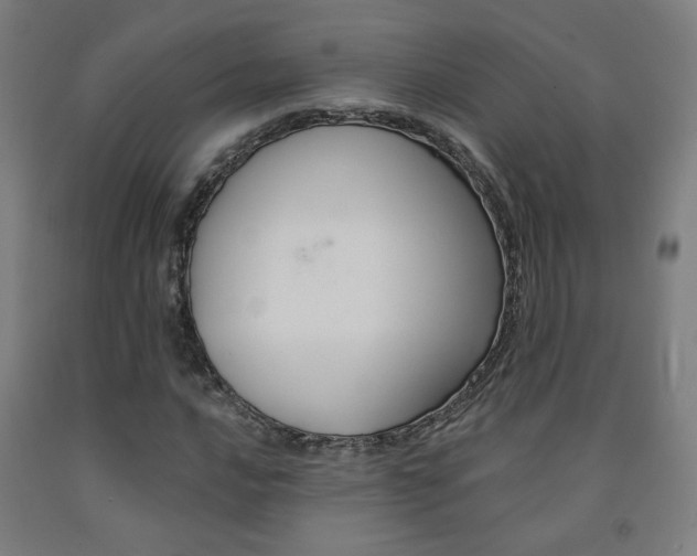 X0000093131016200709261031