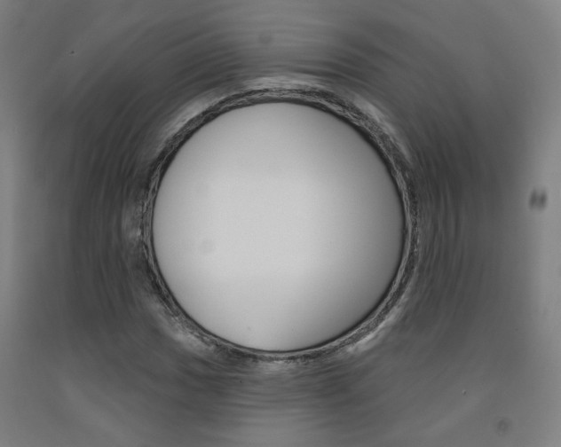 X0000093131017200709261031