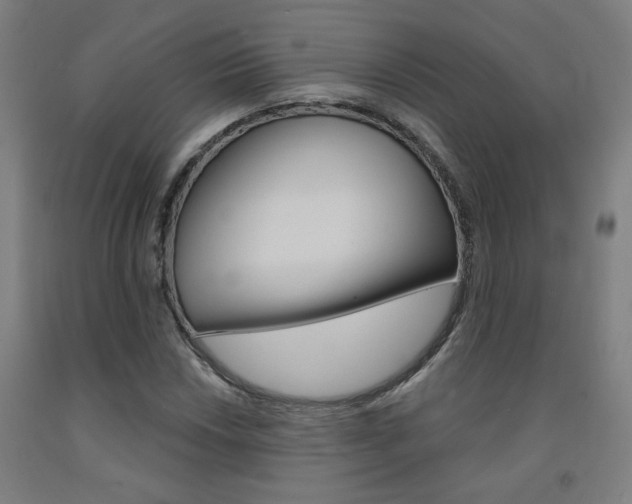 X0000093131018200709261031
