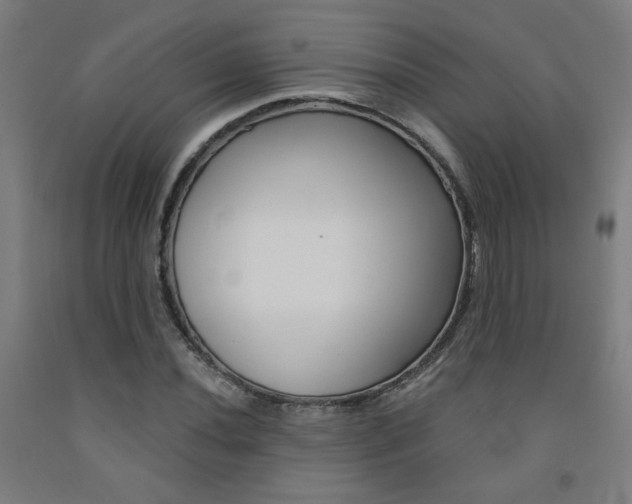 X0000093131020200709261031