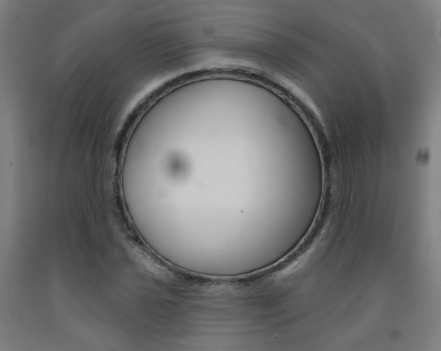 X0000093131021200709261031