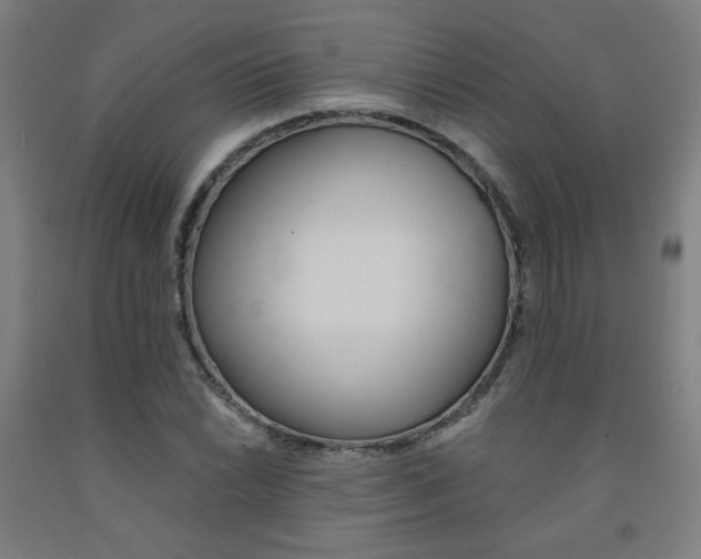 X0000093131022200709261031
