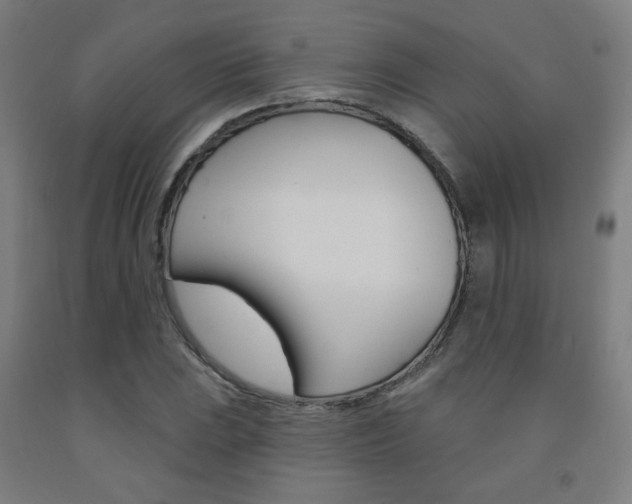 X0000093131023200709261031