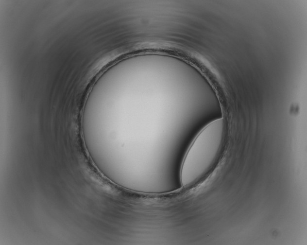 X0000093131025200709261031