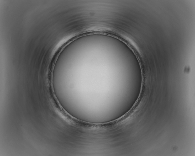 X0000093131026200709261031
