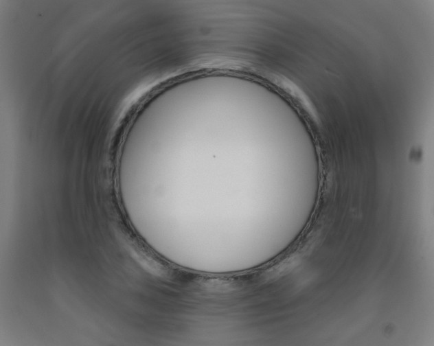 X0000093131027200709261031