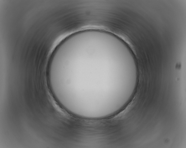 X0000093131030200709261031