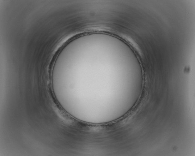 X0000093131031200709261031