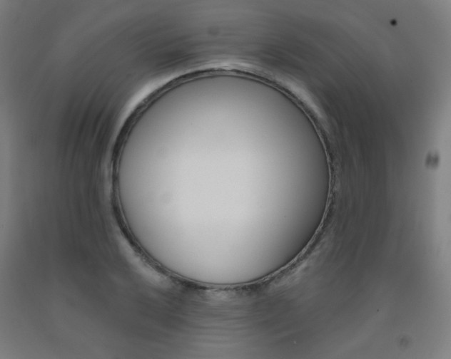 X0000093131032200709261031