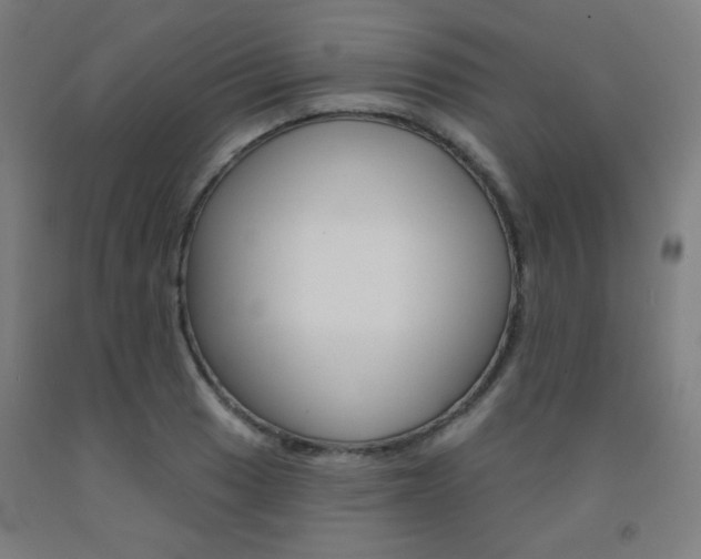 X0000093131033200709261031