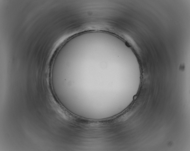 X0000093131035200709261031
