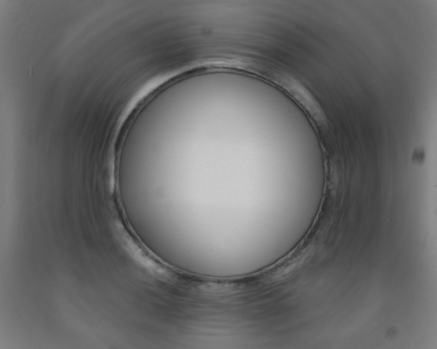 X0000093131036200709261031