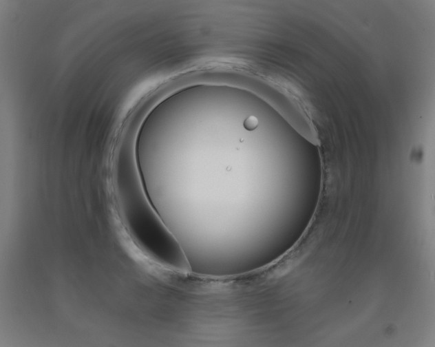 X0000093131038200709261031