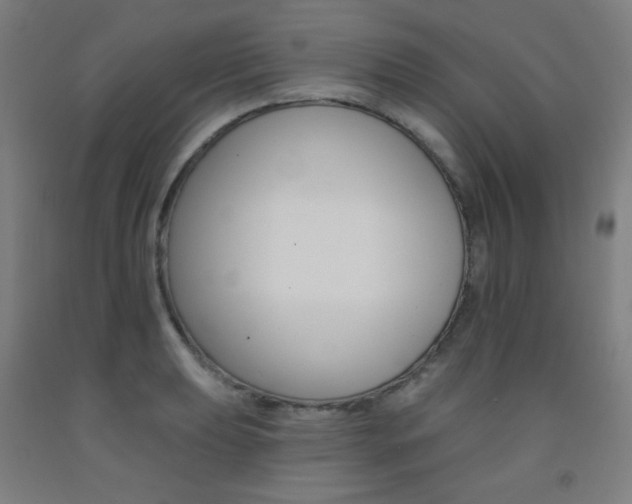 X0000093131039200709261031