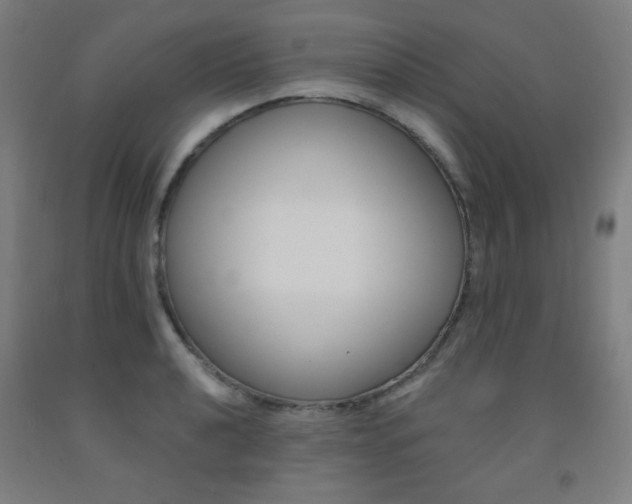 X0000093131040200709261031