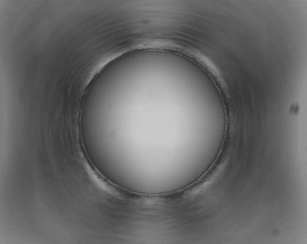X0000093131041200709261031