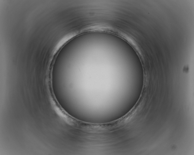 X0000093131042200709261031