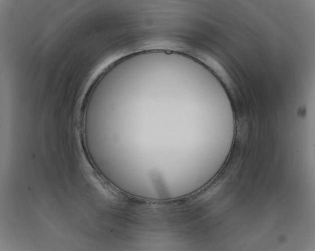 X0000093131043200709261031