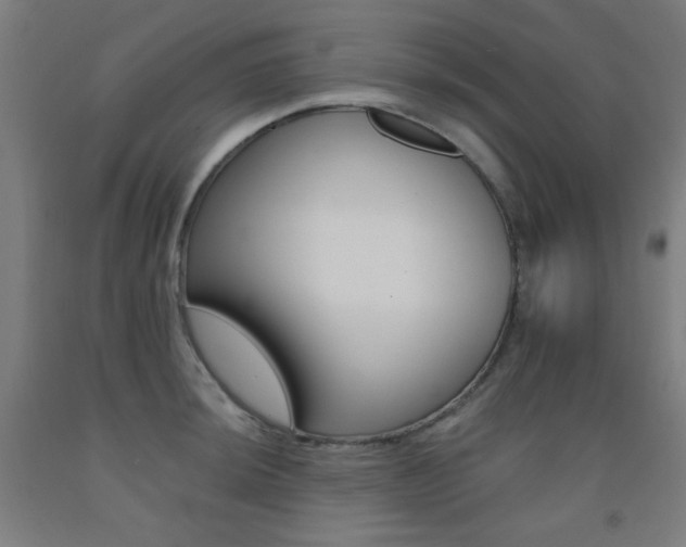 X0000093131044200709261031