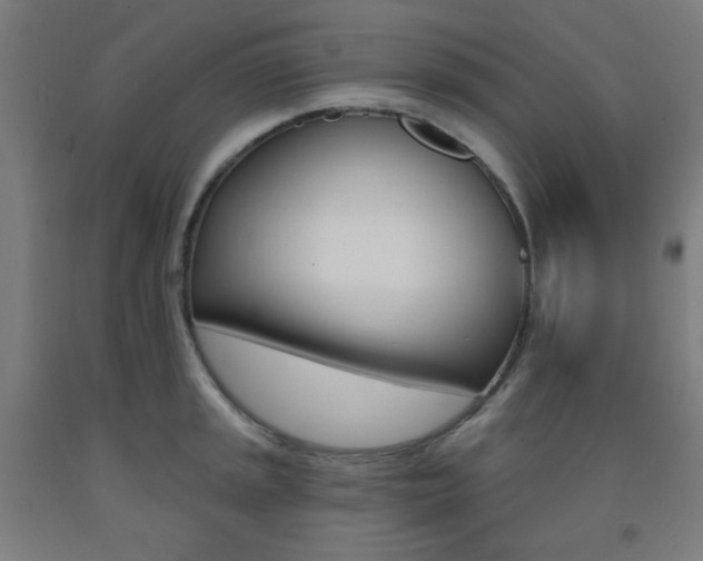 X0000093131045200709261031