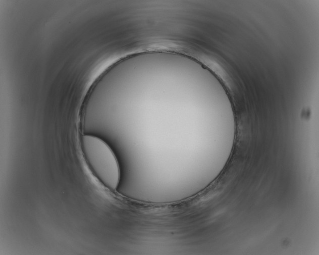 X0000093131047200709261031
