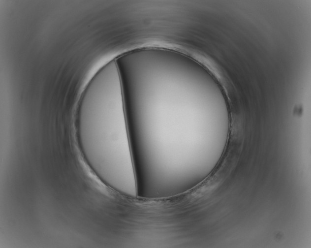 X0000093131048200709261031