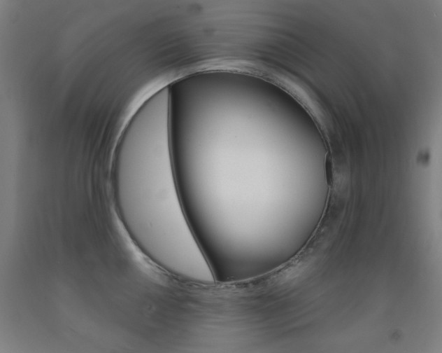 X0000093131050200709261031